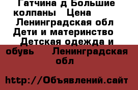 Гатчина д.Большие колпаны › Цена ­ 500 - Ленинградская обл. Дети и материнство » Детская одежда и обувь   . Ленинградская обл.